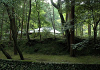 西芳寺（苔寺）