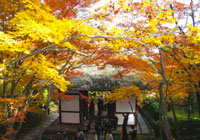常寂光寺