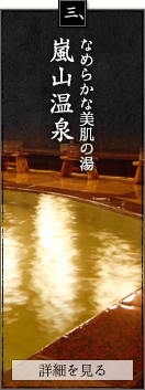 なめらかな美肌の湯 嵐山温泉